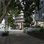 Ann Street - Fortitude Valley