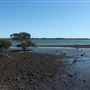 Cleveland Point