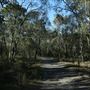 Epapah Creek - Karl's Pier track