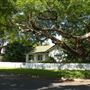 Graceville Streetscape