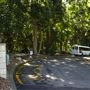 Mount Coot-tha Botanic Gardens - Australian Rainforest Track