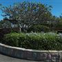 Mt Coot-tha Lookout