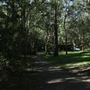 Cornubia Forest