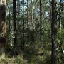 Daisy Hill Conservation Park