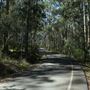 Daisy Hill Conservation Park