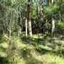 Daisy Hill Conservation Park