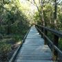 Hemmant Quarry Reserve