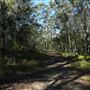 Venman Bushland
