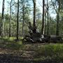 Venman Bushland