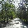 Venman Bushland