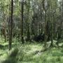 Boondall Wetlands