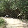 Boondall Wetlands