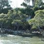 Hornibrook Pier