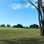 Curlew Park - Cabbage Tree Creek