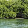 Curlew Park - Cabbage Tree Creek