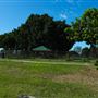 Curlew Park - Cabbage Tree Creek