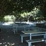 Shorncliffe Pier
