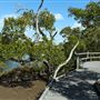 Nudgee Beach Wetlands Reserve