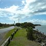 Tuckeroo Park & Dog beach