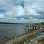 Tuckeroo Park & Dog beach