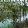Enoggera Reservoir