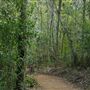 Enoggera Reservoir