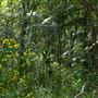 Enoggera Reservoir