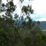 Jolly's Lookout