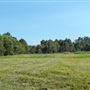 118 Green Camp Rd