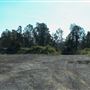 118 Green Camp Rd