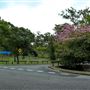 Anzac Park