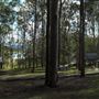 Lake Samsonvale