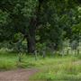 Pocket Retreats