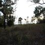 Kemp Beach and Bluff Point Scenic Walk