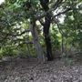 Kemp Beach and Bluff Point Scenic Walk
