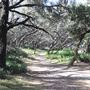 Main Beach - Phillip Park