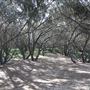Main Beach - Phillip Park