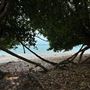 Garners Beach