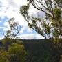 Stockyard Creek