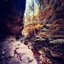 Sandstone Park Carnarvon Gorge