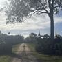 Riverpark Drive