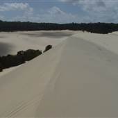 Mulgumpin (Moreton Island) - The Desert