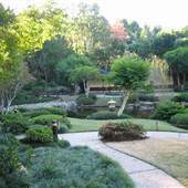Japanese Garden, Mt Coot-tha Botanical Gardens