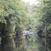 Upper Maroochy River