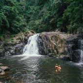 Crystal Cascades