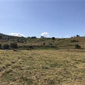 Rolling Hills & Pastures