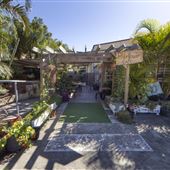 Elderflower cafe