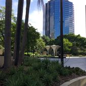 Cathedral Square - Brisbane
