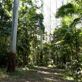 Palm Grove Property