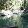 Austinville Rock Pools